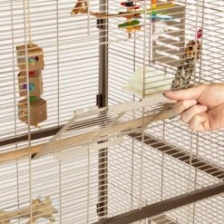 Montana Cages Voliere Paradiso 90 Schoko -Haustierparadies 8a51e1e8340559f25f4320aa285908e55a235d2f 1200892 de DE 0576ffe209ea05253ebe1a6e08466fe13ae3f4a3jFC7T8