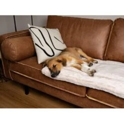 TrendPet Harmony Gefütterte Liegedecke Creme XS 11 TrendPet Harmony Gefütterte Liegedecke Creme XS -Haustierparadies 8a90b0a9111c9f8c3102709bd3f96183b3562c59 1390614 de DE 76a51ca8d6aad29feaec164f24c0d781c9ed8ce7YdJOW0