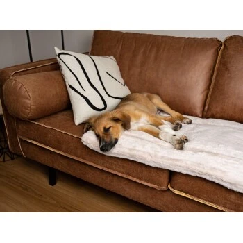 TrendPet Harmony Gefütterte Liegedecke Creme XS 5 TrendPet Harmony Gefütterte Liegedecke Creme XS – Bild 3