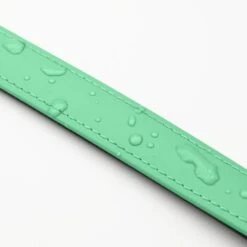 THE DOG IDEA Biothane Halsband Mint Mint S -Haustierparadies 8b56ebbdaaffac6755df46ff5e991ac1f2e098f1 1679174 de DE 917dddc9a1240fb91bb3a35d4cda568edf48f015TLoJLR