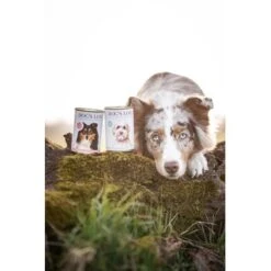 DOG'S LOVE Adult Hypoallergen 6x400g -Haustierparadies 8e9dbde41a1a7703f7e724e8cfbb5769f1859ef8 1274558 2