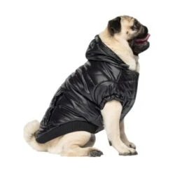 Canada Pooch Glänzende Pufferweste XXS -Haustierparadies 8ec11177ec9f86d200ff22bc3e0c234ecff91e7e dfb5b396c833a1ace7625fc5796632bee13eda68