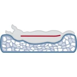 Trixie Vital Bett Noah 50 Cm, 50 Cm, 17 Cm -Haustierparadies 8f80fa8eb5a48591717c668bd46914fa7efa55b1 1340492 de DE 1d7984e7a0780c7270c71e6eea10dd366c3aac48Kr03jO