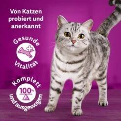 Whiskas Tasty Mix Multipack Chef's Choice In Sauce 40 X 85g 18 Whiskas Tasty Mix Multipack Chef's Choice In Sauce 40 X 85g -Haustierparadies 90c69f8b60998b1e42a320aa3c632d7b173d2464 1410720 de DE Whiskas 7