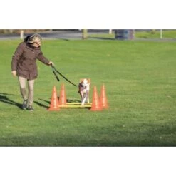 Trixie Dog Activity Hindernisse Ø30x50cm -Haustierparadies 91cbc45b90b8a0cfe868659f3dcf31f8aff28e6a 1287033 de DE Trixie Hindernisse wb 2