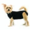 Trovet Hundebody Recovery Suit Schwarz XXS -Haustierparadies 92d14012c332f0a5a46b2a7887d2e493de373061 bbc558c1bdf8e1bee3228f5e0e39819075b810aa