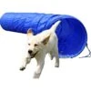Dobar Agility Tunnel, 60 X 500 Cm -Haustierparadies 9317891c8c26e1a60f69c909139b6f64f81acffc a9b8aeeca69e52c8a2789d216e0e38b4afddf736