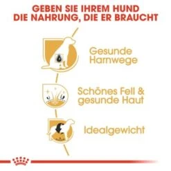 ROYAL CANIN Bichon Frisé Adult 1,5 Kg -Haustierparadies 9360ef399dd7991f4138416a3168c1b58cc56899 7f2fbf0f9eb0dedb42b1d34e34eb41ac36d13a97