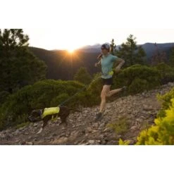 Ruffwear Trail Runner™ Laufgurt Limonen Gelb L-XL -Haustierparadies 93a58c4fc27710218901d94aece28188b07bd319 1651444 de DE 8247d7fe22d77de2e7ea731c778011a0fe985828KUUc7c