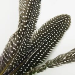 Schlitzohr Katzenangel Federanhänger 5x 18 Schlitzohr Katzenangel Federanhänger 5x -Haustierparadies 93b8e0c984d323f24d455bf8e74e2dbacef5703e 1484675 de DE 7b80f213f44ebcad765dbdebc25bf2d2f0177dbd64kHU2