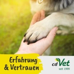 Fit-BARF SafeComplete 350 G 9 Fit-BARF SafeComplete 350 G -Haustierparadies 9492ac4489cec81663caa600191d65977e3fdcfc 1667841 de DE 528921b6de88d102e9fc6f77543f8fb3f894d78aCA5zPe