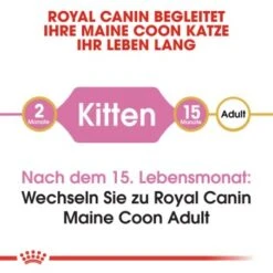 ROYAL CANIN Maine Coon Kitten 4 Kg -Haustierparadies 9494efda15798aa930f4c836c086824869519e76 d153c89f98a812830b790602e2c1dd84504c30b9