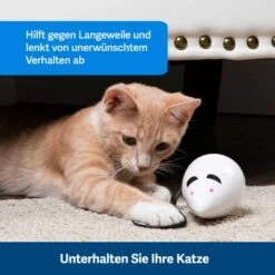 PetSafe Automatisches Katzenspielzeug RoloRat -Haustierparadies 97df3eec34472f4ac76f2a0bbe4e75fdbbe02b64 1351522 de DE 83c2d308e962c4b6c64101ee39311b3a61647f71n2yR1C