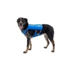 Ruffwear Trail Runner™ Weste Blau XS -Haustierparadies 98442c3f4ada02dc38bbe918031392b2ba7e1943 1639640 de DE 57b978069b1aa95a705eb1af32811decb2e9cfecAOoih7