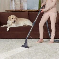 THOMAS DryBox Amfibia Pet -Haustierparadies 9953282c61e03abd8b9e8af05edae29417570062 1406734 de DE 1c8fb73e21f9aae62063930fedd2d58afb94e8aanSOWPf