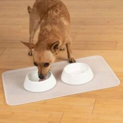 KaraLuna Basic Napfunterlage Transparent L -Haustierparadies 9ba40d7c74ee8125e59b22c7e83e8b1c6e9b7d62 1407477 de DE 14497c23a79b7136237df13f9c32b5ed84fd5ff0LsA92E