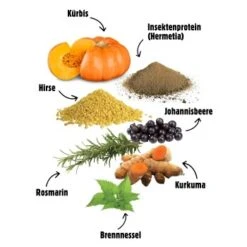 Eat Small EatSmall 12x 800g Nassfutter Wald 14 Eat Small EatSmall 12x 800g Nassfutter Wald -Haustierparadies 9bcc5f530bbde6073c434a4853e053336c49e54d 1480176 de DE 14f419f82fdd97b5787fae56c3d39024e10a9a84yeulWM