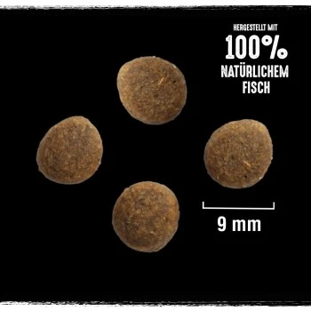 CRAVE Mit Lachs Und Weißfisch 2,8 Kg 4 CRAVE Mit Lachs Und Weißfisch 2,8 Kg – Bild 2