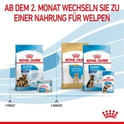 ROYAL CANIN MAXI Starter 15kg -Haustierparadies 9e0a9c40eb1f66857fbe20359fe8a5065e97d29a 1044296 de DE royalcaninwb5