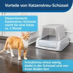 PetSafe ScoopFree Katzentoilette, Haube -Haustierparadies 9f53ca90b171b847d777a219cd590baeb64c7e15 1368110 de DE be1af9fc2226731c8a8ce64e8c71ecd612a085e0SNiC7j
