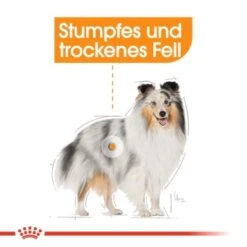 ROYAL CANIN Coat Care Mini 8 Kg 12 ROYAL CANIN Coat Care Mini 8 Kg -Haustierparadies a015616ba7b0f09bb3635d2f92ec42b058c3bf94 9cc4a6a599d5c6fa50944a6ff8326d322ab5e6f2