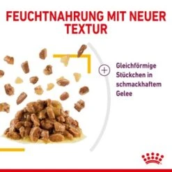ROYAL CANIN SENSORY Taste In Gelee Für Wählerische Katzen 12x85g -Haustierparadies a0a9a743b6a6722f849df958bc9024e93eba856b e74a0546ac96b90fff45a5cac73c2ea520ddf555