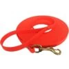 Bio-leine 25-35 Kg Schleppleine Biothane Orange 3 M -Haustierparadies a18901db92acaab3eb88be85c42af6eab78ae1f9 1458865 de DE 3eed43bfdd9f1c0dc2a7d571033cd2e58ce89f073kA4kb