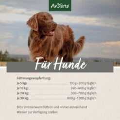 Aniforte FarmsLamb Lamm Mit Kürbis 2,4 Kg -Haustierparadies a2fbebd25601192e48d256e6ad1d961138f524b6 1422184 de DE ecf8c646fa9f7a73ce2de360e52f7434941d6424D7dkpY