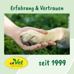 DentaVet Gel 25ml 11 DentaVet Gel 25ml -Haustierparadies a3f0f225424e36ead3f58163a43f1ebde29b0acd 1667843 de DE f215127866d604991b4efc218004018ddf447095y5Ccte