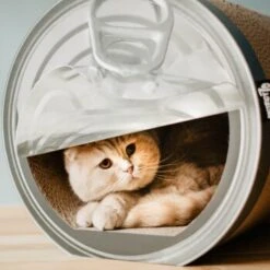 District 70 CAN Cardboard -Haustierparadies a4cd0fa7850dfd13b737775762ce59afa0fa6bcc dc81845d134bfb19e2eca4e5bc9344d6856acd6a