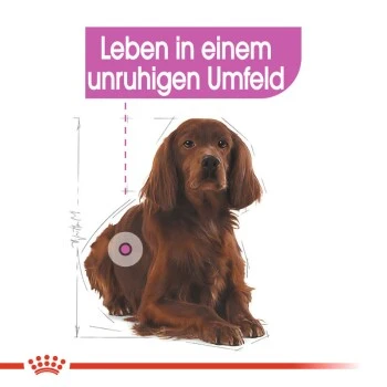 ROYAL CANIN Relax Care Medium 10 Kg 9 ROYAL CANIN Relax Care Medium 10 Kg – Bild 7