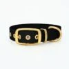 THE DOG IDEA Biothane Halsband Gold Schwarz XS -Haustierparadies a6b276cc50b0e3acc110ad8e8dc7eb2f32cc28cc 1655410 de DE e4c508bf9703480631764e9dcee2b0314ddae331ZsGd11