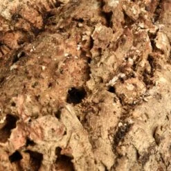 HappyBird Kork Sitzbrett XL -Haustierparadies a774c45f38b43354bd86d7a04e9ad16d0eaf1a6c 1416847 de DE 4d26871b626013948e4cb08465e286887bfaaa137dh8BQ