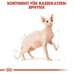 ROYAL CANIN Sphynx Adult 10 Kg -Haustierparadies a8cac64f1ab197f81295c694045c859b936cf469 3d2d3e46b1efb06d8dd5982093aa1fc1a81b6f69
