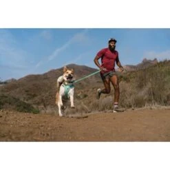 Ruffwear Hi & Light™ Leine Grün -Haustierparadies a9bb9c540656b7aa8771909ef98b6c75c25b9109 1651449 de DE e1f513ccb316fd4c3d8ab244f2741d98d771b1dc3aPDlo