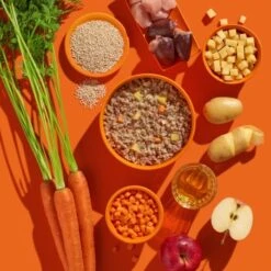 Fred & Felia FRED 10x200g Pute Mit Kartoffeln -Haustierparadies a9bf6aa6c03c9e945fcaf6cfc7c34e5223a9b5f6 1422065 de DE b38968899d5aadb6bb2af01d15d7f083155a7458oR6wZO