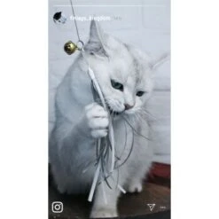 Kater Kasimir Premium Katzenangel Set Aus Buchenholz Mit 4 Handgemachten Anhängern -Haustierparadies aaff0e9889f09f48c0cf35681edb62768ad623ee 1422145 de DE b29a5f7f2530ce6388e16e2600369d70b2ec0350dUIf7E