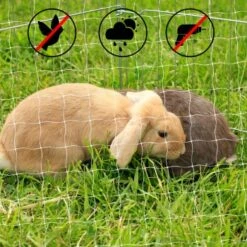 Lionto Katzennetz Inkl. Befestigung -Haustierparadies ad1b651d8bcc461ab7a5d32a4c77b44e521cf768 1665913 de DE 7c500006d9abf3223e26fa8841d70bed2db024adIv4nbt