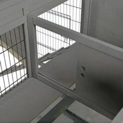 MORE FOR Free Running XL -Haustierparadies b09ab24bed92c98579523f5815c4ed5d59358155 3fe1cb21356714c67ca844f2c8753594c0c08ee5