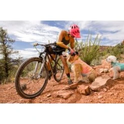 Ruffwear Swamp Cooler Zip™ Kühlweste Für Hunde Pink XL 20 Ruffwear Swamp Cooler Zip™ Kühlweste Für Hunde Pink XL -Haustierparadies b09f64ce4cb61f76e334f53710971c46f0c64f77 1639652 de DE 5c54f812ed7750a861f9b03041623cd41dc60548jTRNBw