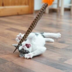 Schlitzohr Federwedel Birdy 3er Pack -Haustierparadies b2468018bd2b888c11ee64154d86732de60c7830 1659562 de DE 7d36675a42a956412d003b03e1f072b0ae0379063UsHBd