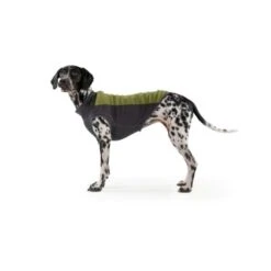 Ruffwear Climate Changer™ Fleece-Pullover Für Hunde Rot S -Haustierparadies b28669818d8fcb81e0661ed639732808849f280a 1369661 de DE 64aaf340211e6364e47cd57e7a205b9b6074a78fHTZZhE