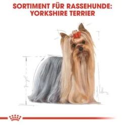 ROYAL CANIN Yorkshire Terrier Adult 1,5 Kg -Haustierparadies b2f5184395c498d76eeaf1a3805977dc6baac69a 8525a84bc8bceef91a6ba9ef3810aac1dcf98bbb