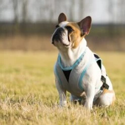 Trovet Suitical Kühlweste Dry Cool M -Haustierparadies b32e0654ab987d26790de796cf13d2e54cbed73f 1321386 de DE Trovet suitical 6 Kopie