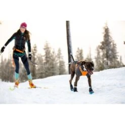 Ruffwear Cloud Chaser™ Hundejacke -Haustierparadies b3945dcdf1d891b89bb33cdcabbc0f70acaf459d 1369625 de DE 87163fc3e147e303fdf97d4ab87fd720c4f34a96B9a7gd