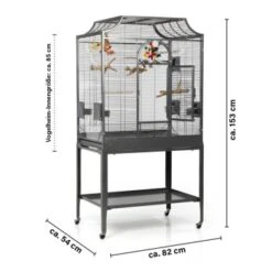 Montana Cages Voliere Madeira II Dunkelgrau 19 Montana Cages Voliere Madeira II Dunkelgrau -Haustierparadies b6069bd0e8efbbecb820b86479efcb00324d52e9 1011602 de DE cc36261b6340a0a166d8593c576822d873114e0drQW25I