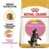 ROYAL CANIN Maine Coon Kitten 4 Kg -Haustierparadies b653bcf95fc9d0b8a3c8eee710843e455acba2f0 53328fcc7c4c7fc12c76a25aed7c7c1981767a10