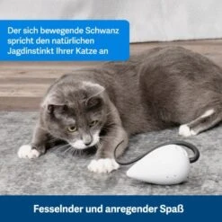 PetSafe Automatisches Katzenspielzeug RoloRat -Haustierparadies b65e953878b463eb5125c940634b84e8b7c79a3f 1351522 de DE 3daf7dbb27d01ce7d63f06677a32dd6cde28abb9X2tLJP