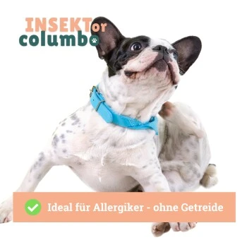 BeG Buddy Trockenfutter Insekten 750 G 8 BeG Buddy Trockenfutter Insekten 750 G – Bild 6