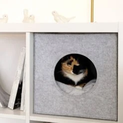 Lionto Katzenhöhle Aus Filz + Kissen - Regalhöhle Hellgrau 11 Lionto Katzenhöhle Aus Filz + Kissen - Regalhöhle Hellgrau -Haustierparadies ba38cb426515f287554cca1376691e8fc1f2c06c 1657087 de DE 1787a06f3e708c0b40c07cda94f11d1c11828f21AhrPBZ